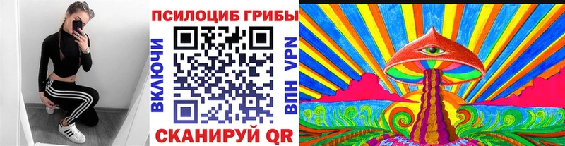 продажа наркотиков  Усть-Кут  Галлюциногенные грибы GOLDEN TEACHER 