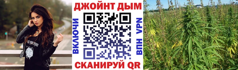 блэк спрут как войти Усть-Кут Марихуана White Widow